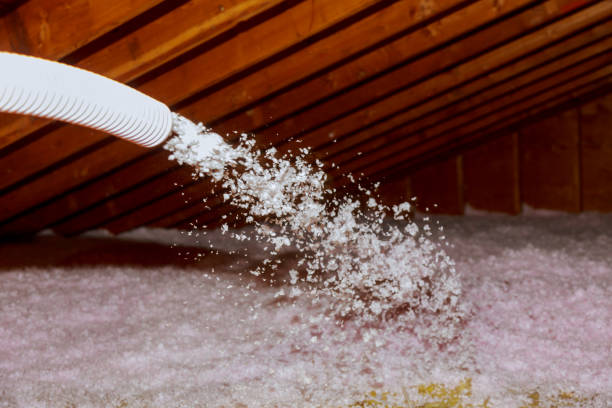Best Energy-efficient Insulation  in West Pensacola, FL